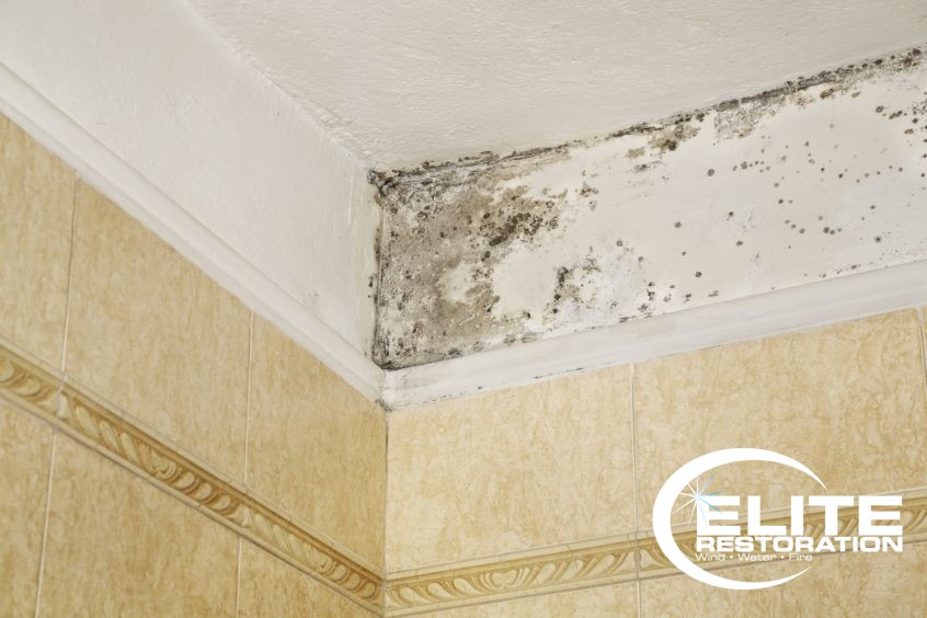 Mold in Bathroom