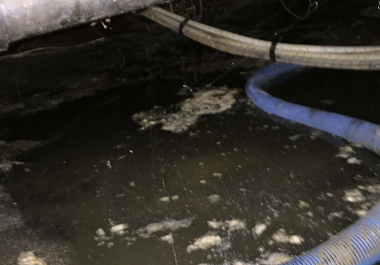 Image: Exposed water, cords, and pipes from an emergency sewage backup